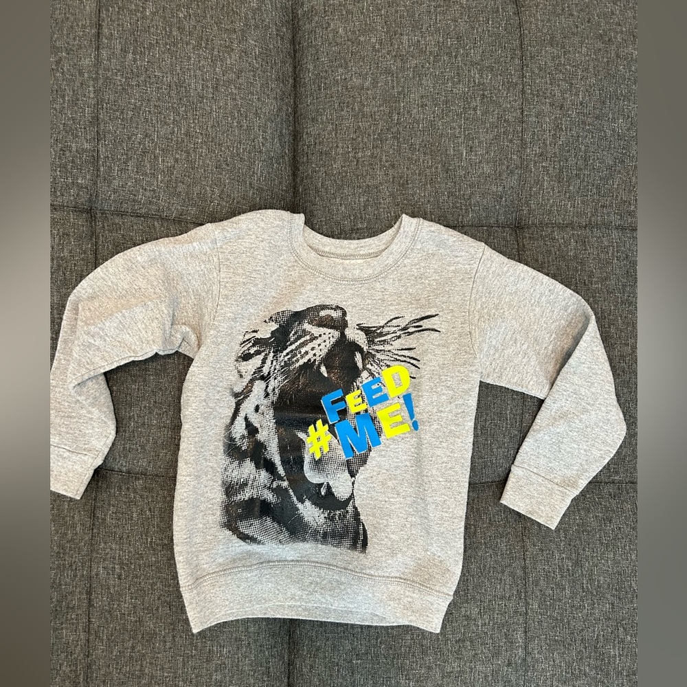 👦Hanes Kids Roundneck Sweater color Grey size XS, Like New Condition